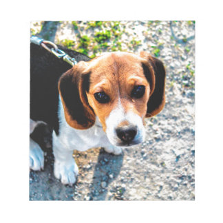 Bloco De Notas Beagle Cute