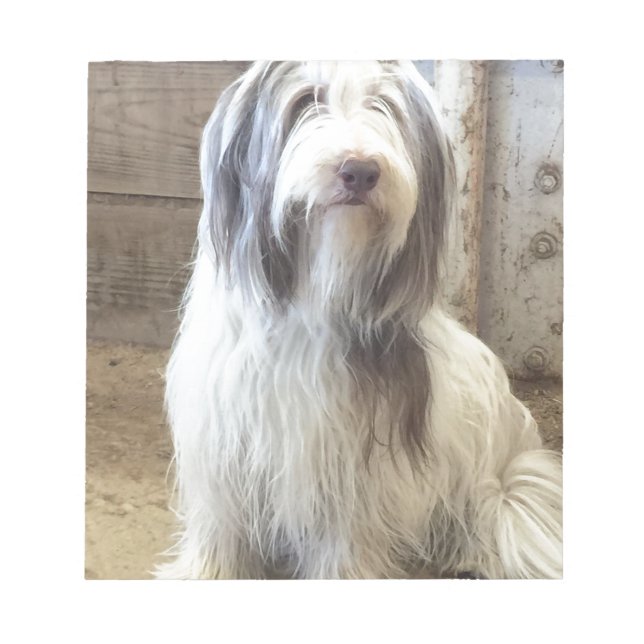 Bloco De Notas Bearded Collie (Frente)