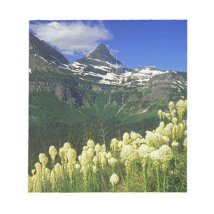 Bloco De Notas Beargrass no Logan Pass no Parque Nacional Glacier
