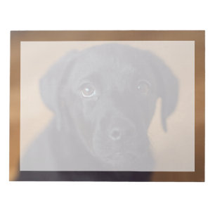 Bloco De Notas Bebês Animais Mais Fofos Cachorrinho Labrador Pr
