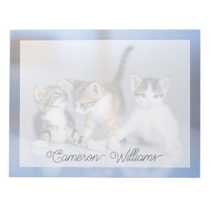 Bloco De Notas Bebês Mais Pobres 3 Gatinhos Tabby