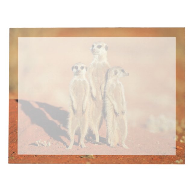 Bloco De Notas Bebês Mais Pobres | 3 Meerkats (Frente)