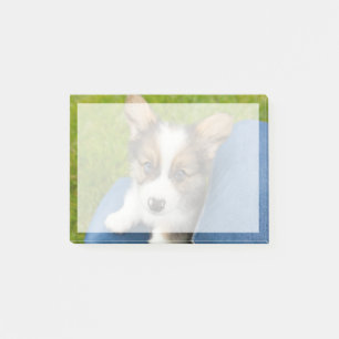 Bloco De Notas Bebês Mais Pobres Baby Corgi no meu colo