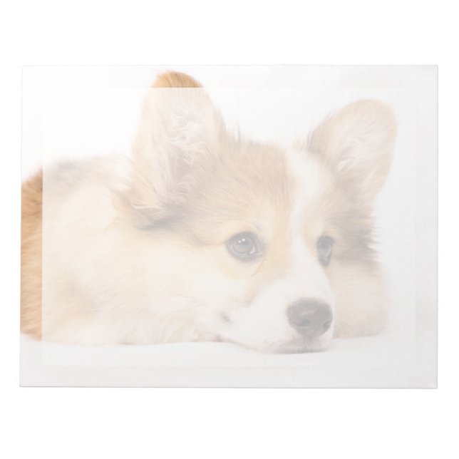 Bloco De Notas Bebês Mais Pobres | Baby Corgi Puppy Portraje (Frente)