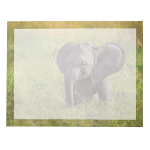 Bloco De Notas Bebês Mais Pobres Baby Elephant Kenya Africa