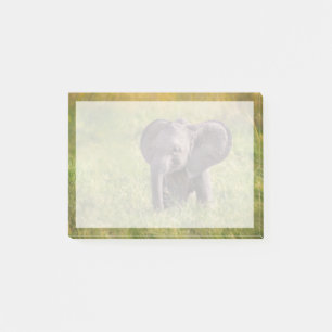 Bloco De Notas Bebês Mais Pobres Baby Elephant Kenya Africa