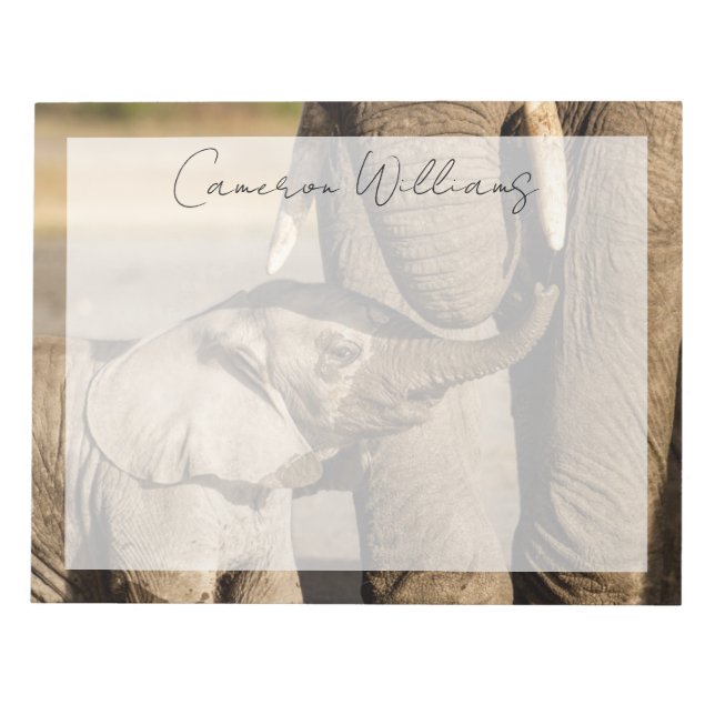 Bloco De Notas Bebês Mais Pobres | Bebê Elefante e mamã (Frente)