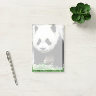 Bloco De Notas Bebês Mais Pobres Bebê-Panda