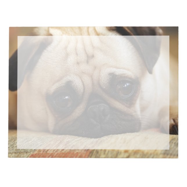 Bloco De Notas Bebês Mais Pobres | Bebê Pug Puppy (Frente)