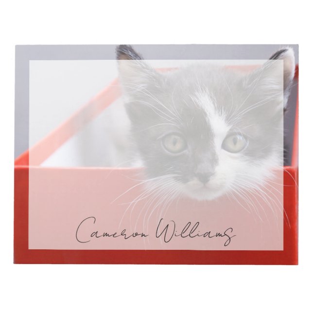 Bloco De Notas Bebês Mais Pobres | Black & White Kitten (Frente)