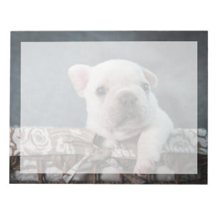 Bloco De Notas Bebês Mais Pobres Buldogue francês