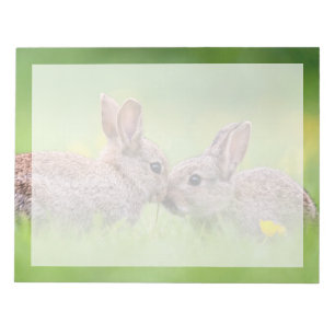 Bloco De Notas Bebês Mais Pobres Bunny Kiss