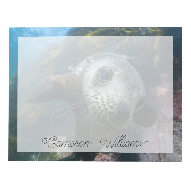 Bloco De Notas Bebês Mais Pobres | Cabo de peles submarinas (Frente)