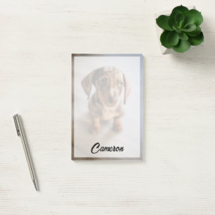 Bloco De Notas Bebês Mais Pobres Castanho Dachshund Puppy