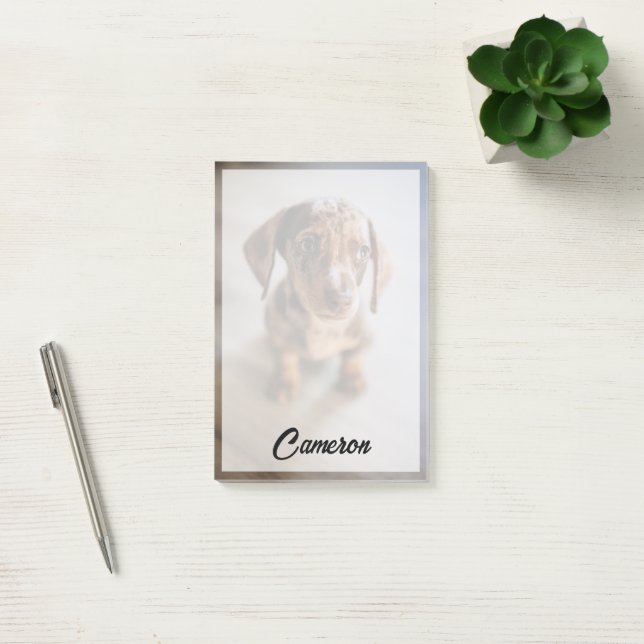 Bloco De Notas Bebês Mais Pobres | Castanho Dachshund Puppy (Escritótio)