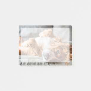 Bloco De Notas Bebês Mais Pobres Cocker Spaniel