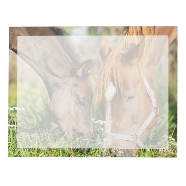 Bloco De Notas Bebês Mais Pobres | Coluna de cavalos (Frente)