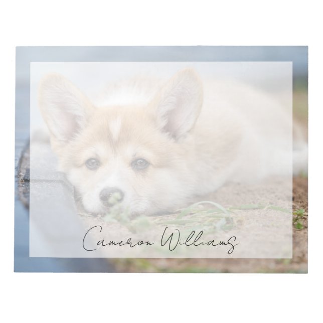 Bloco De Notas Bebês Mais Pobres | Corgi Lay in the Yard (Frente)