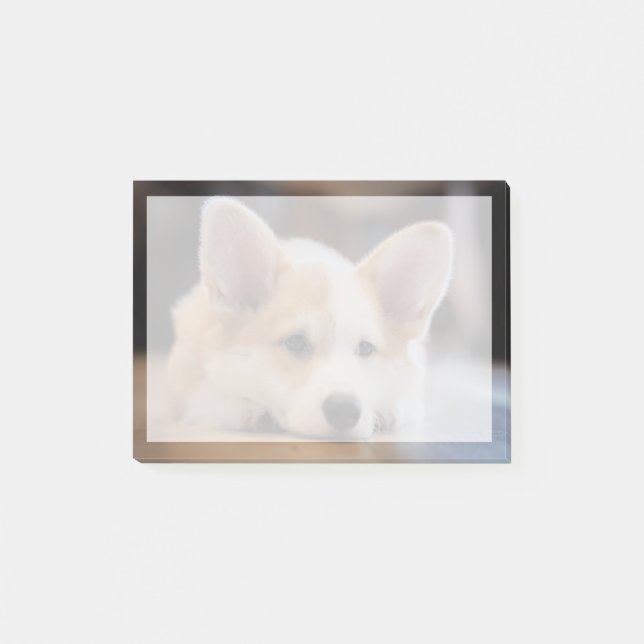 Bloco De Notas Bebês Mais Pobres | Corgi-Puppy com sono (Frente)