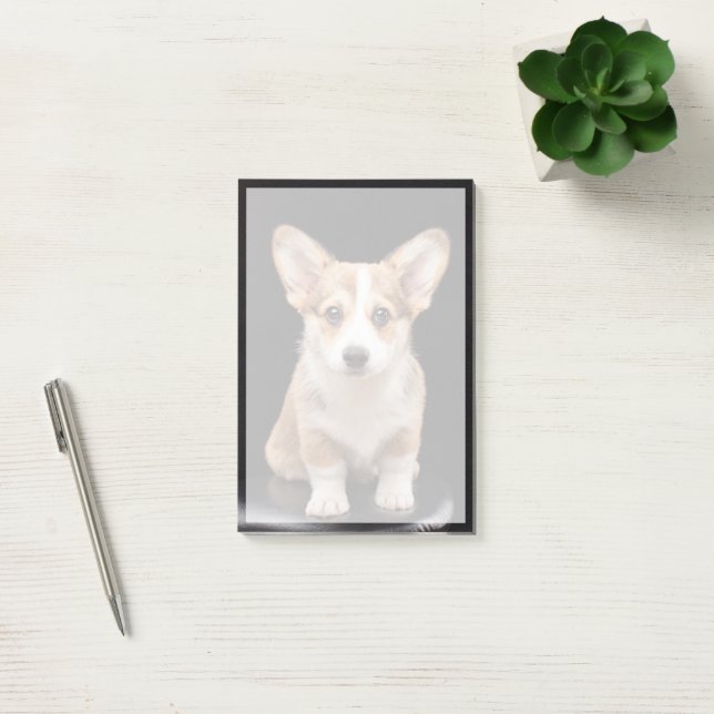 Bloco De Notas Bebês Mais Pobres | Corgi Puppy Em Pé (Escritótio)