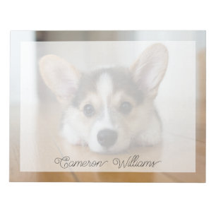 Bloco De Notas Bebês Mais Pobres Corgi Puppy Olhando