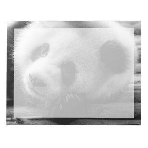 Bloco De Notas Bebês Mais Pobres Cubo-Urso-Panda Gigante