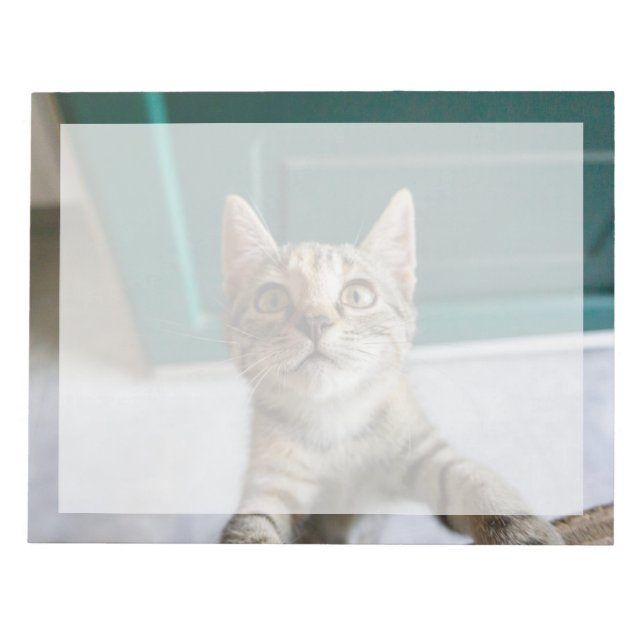 Bloco De Notas Bebês Mais Pobres | Cute Tabby Kitten (Frente)