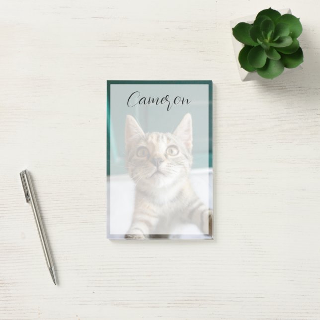 Bloco De Notas Bebês Mais Pobres | Cute Tabby Kitten (Escritótio)