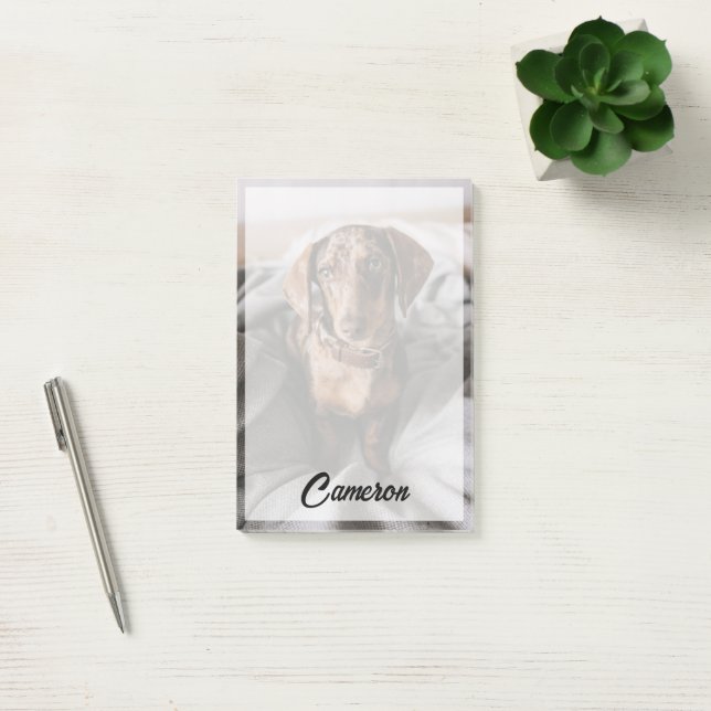 Bloco De Notas Bebês Mais Pobres | Dachshund De Chocolate (Escritótio)