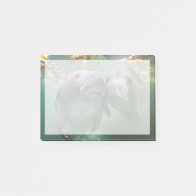 Bloco De Notas Bebês Mais Pobres | Dois Manatins (Frente)