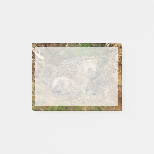 Bloco De Notas Bebês Mais Pobres | Família de suínos (Frente)