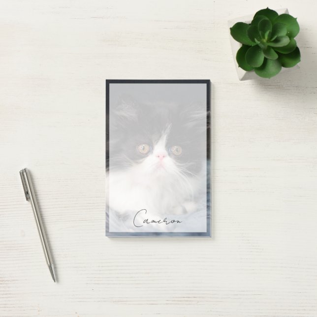 Bloco De Notas Bebês Mais Pobres | Fluffy B&W Kitten (Escritótio)
