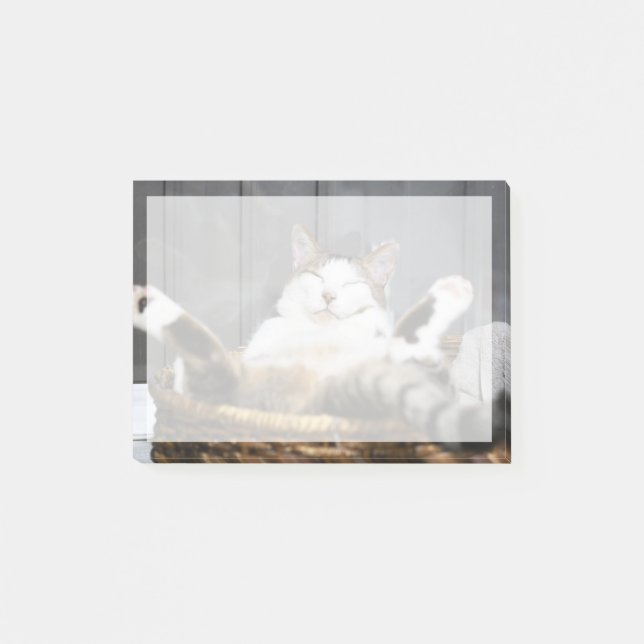 Bloco De Notas Bebês Mais Pobres | Gato na cama (Frente)