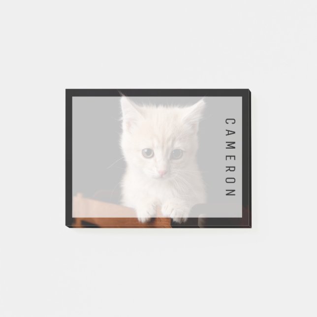 Bloco De Notas Bebês Mais Pobres | Ginger Kitten (Frente)