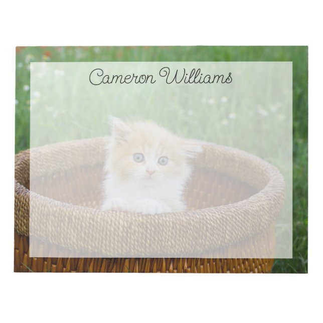 Bloco De Notas Bebês Mais Pobres | Kitten Azul (Frente)