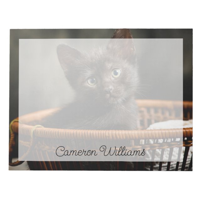 Bloco De Notas Bebês Mais Pobres | Kitten no cesto (Frente)