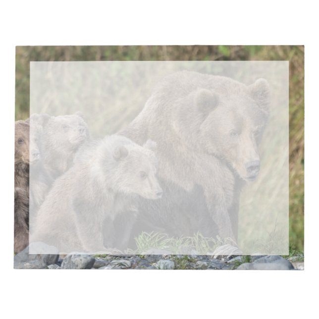 Bloco De Notas Bebês Mais Pobres | Kodiak Mama Bear & Cubs (Frente)