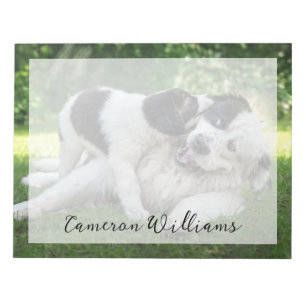 Bloco De Notas Bebês Mais Pobres Landseer Puppy