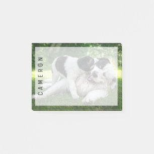 Bloco De Notas Bebês Mais Pobres Landseer Puppy