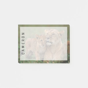 Bloco De Notas Bebês Mais Pobres Lion Cub & Mãe