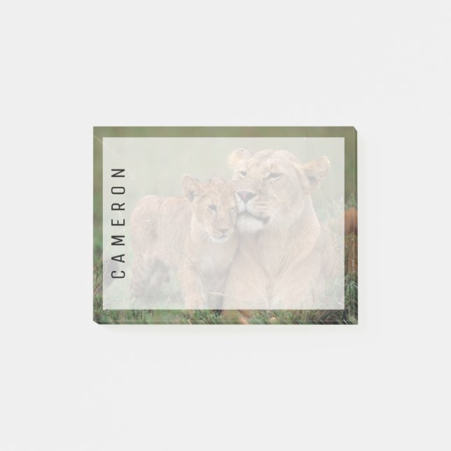 Bloco De Notas Bebês Mais Pobres | Lion Cub & Mãe (Frente)