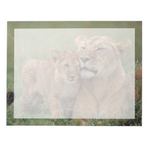 Bloco De Notas Bebês Mais Pobres   Lion Cub & Mãe