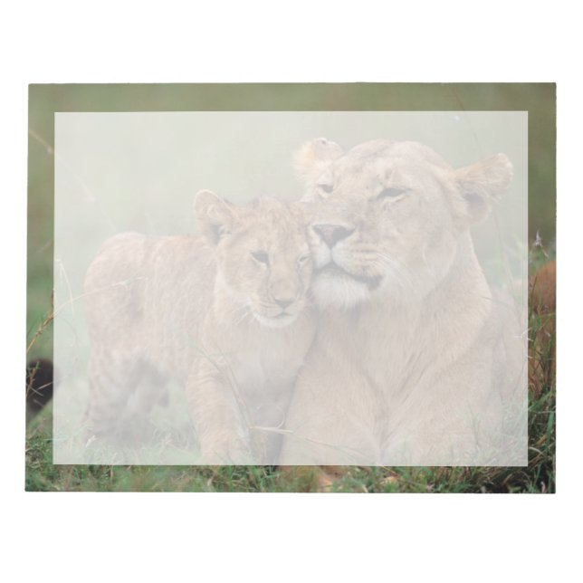 Bloco De Notas Bebês Mais Pobres | Lion Cub & Mãe (Frente)