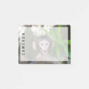 Bloco De Notas Bebês Mais Pobres Macaco surpreso na neve