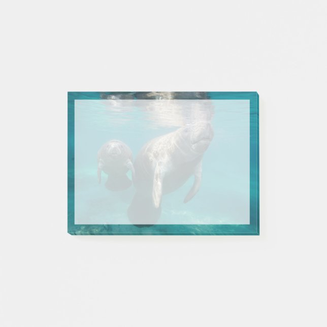 Bloco De Notas Bebês Mais Pobres | Manateio e Bebê (Frente)