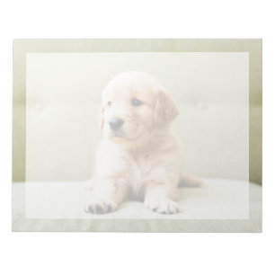 Bloco De Notas Bebês Mais Pobres Ouro Retriever Puppy