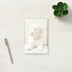 Bloco De Notas Bebês Mais Pobres Ouro Retriever Puppy