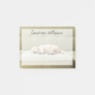 Bloco De Notas Bebês Mais Pobres Ouro Retriever Puppy 2