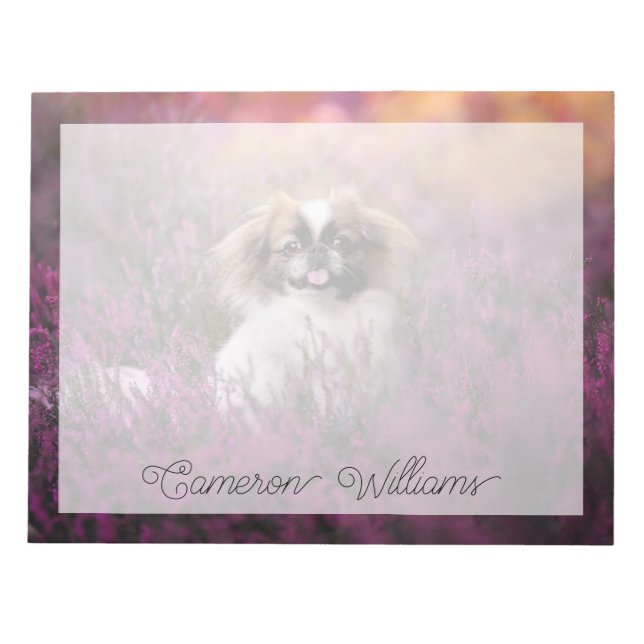 Bloco De Notas Bebês Mais Pobres | Pekingese Puppy (Frente)