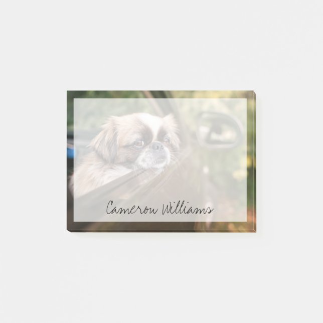 Bloco De Notas Bebês Mais Pobres | Pekingese Puppy no carro (Frente)